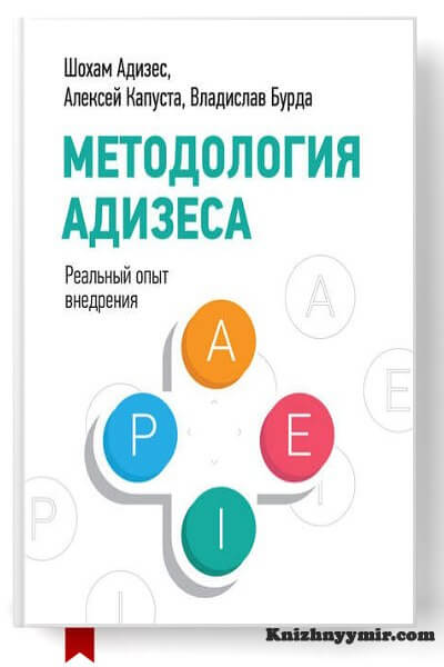 Методология Адизеса. Реальный опыт внедрения