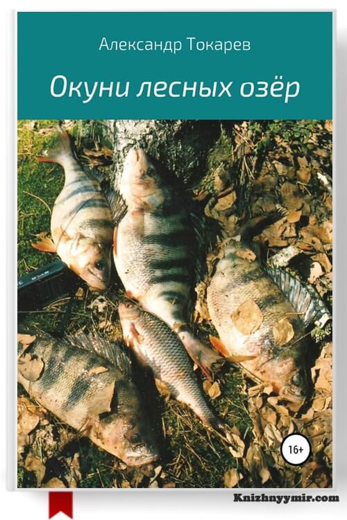 Окуни лесных озёр