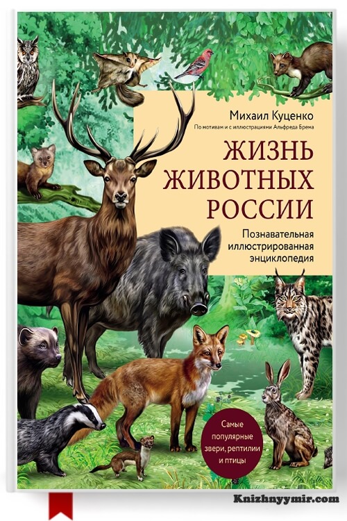 Жизнь животных России. Познавательная иллюстрированная энциклопедия