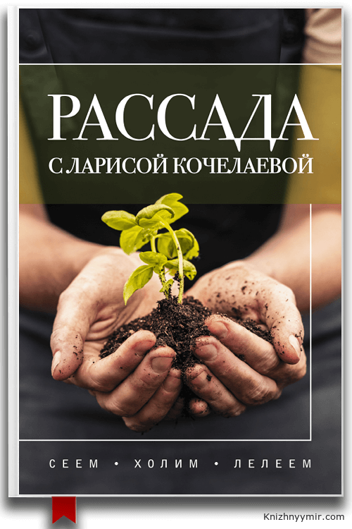 Рассада с Ларисой Кочелаевой. Сеем, холим и лелеем