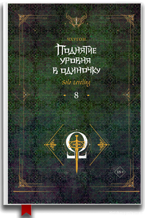 Поднятие уровня в одиночку. Solo Leveling. Книга 8