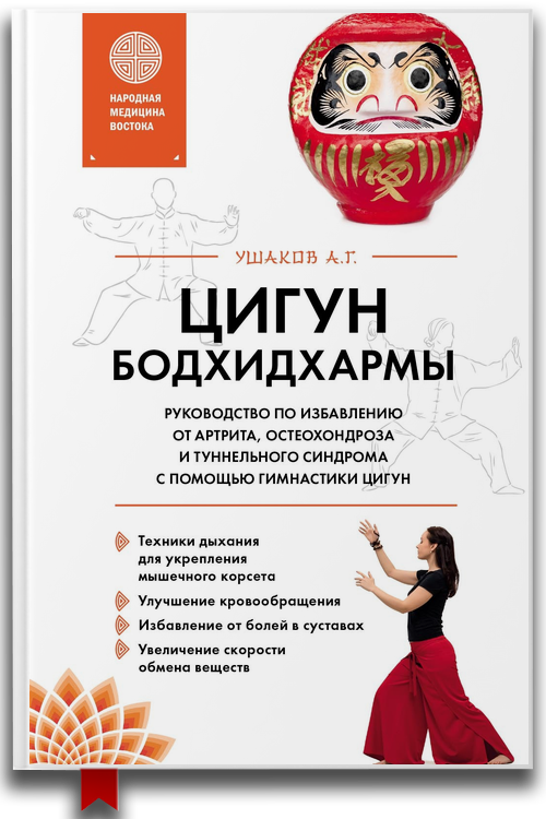 Цигун Бодхидхармы. Руководство по избавлению от артрита, остеохондроза и туннельного синдрома с помощью гимнастики цигун