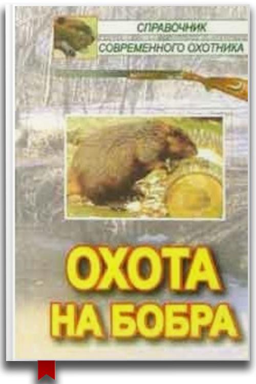 Охота на бобра