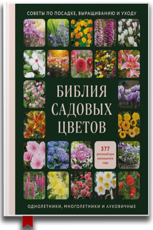 «Библия садовых цветов. Однолетники, многолетники и луковичные. Советы по посадке, выращиванию и уходу» — А В Яконук