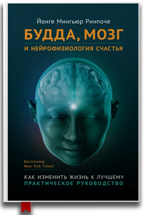Будда, мозг и нейрофизиология счастья. Как изменить жизнь к лучшему