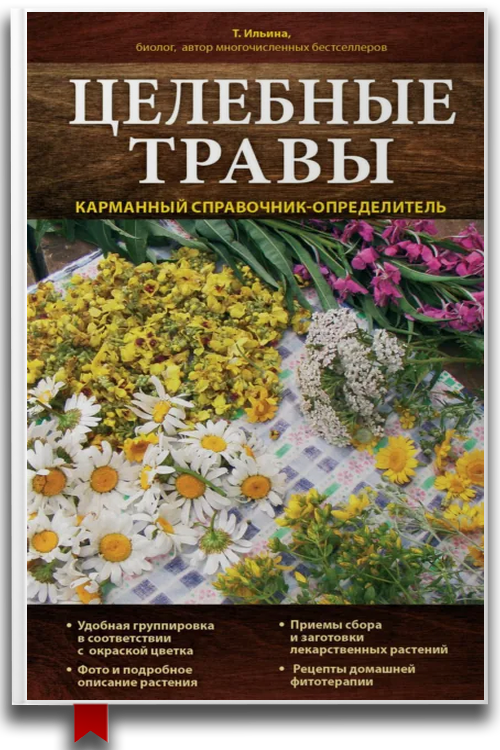 Целебные травы. Карманный справочник-определитель