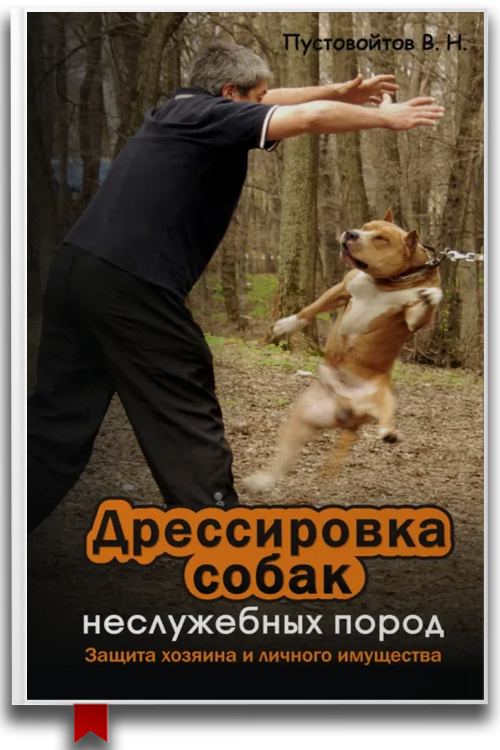 Дрессировка собак неслужебных пород. Защита хозяина и личного имущества