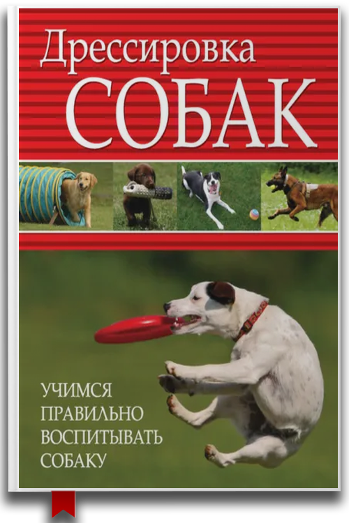 Дрессировка собак. Учимся правильно воспитывать собаку