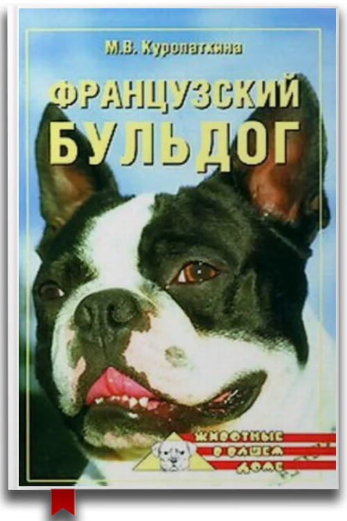 Французский бульдог