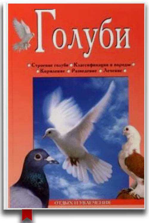Голуби