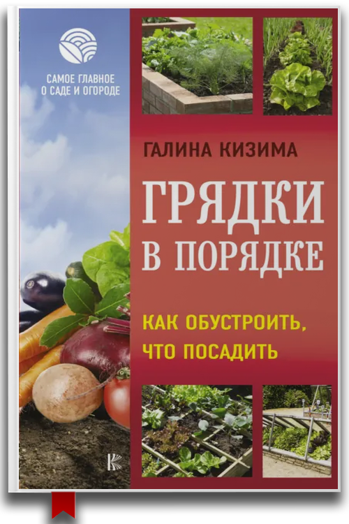 Грядки в порядке. Как обустроить, что посадить
