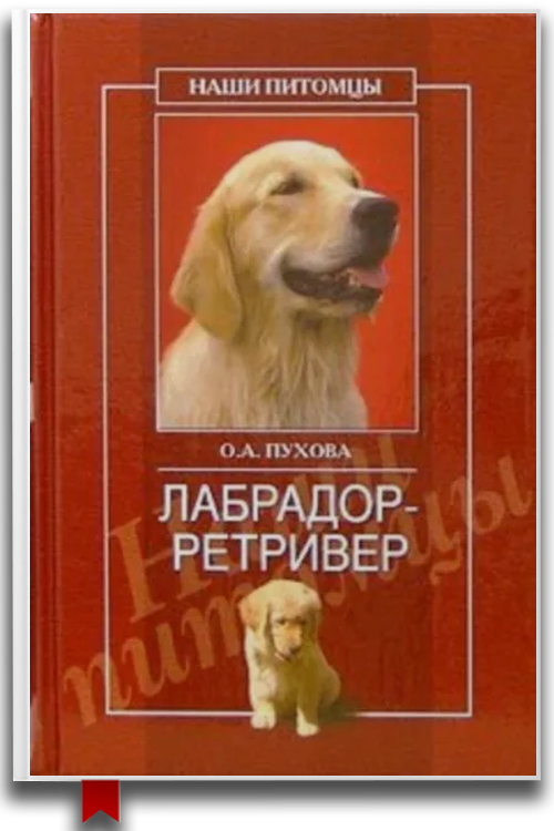 Лабрадор ретривер