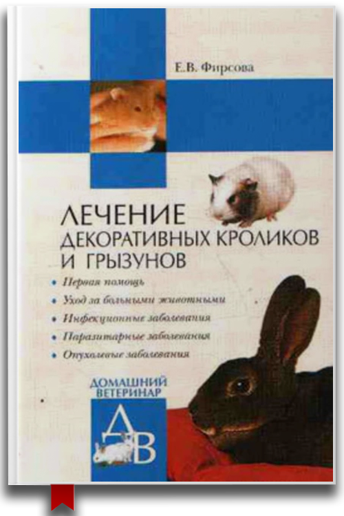 Лечение декоративных кроликов и грызунов
