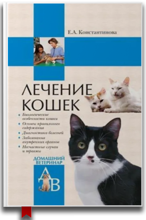 Лечение кошек