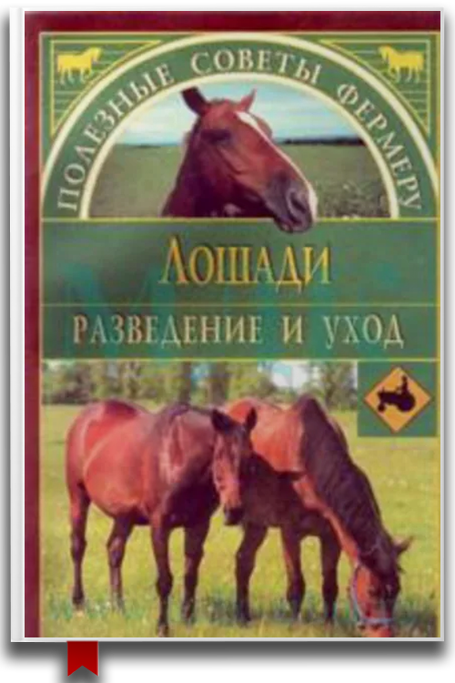 Лошади — Домашние животные