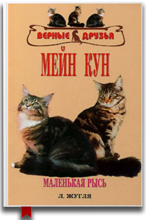 Мейн кун