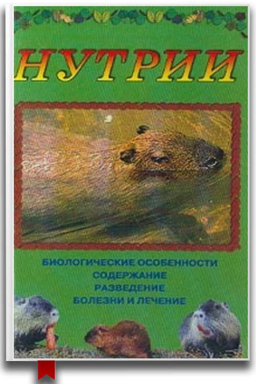 Нутрии — Домашние животные