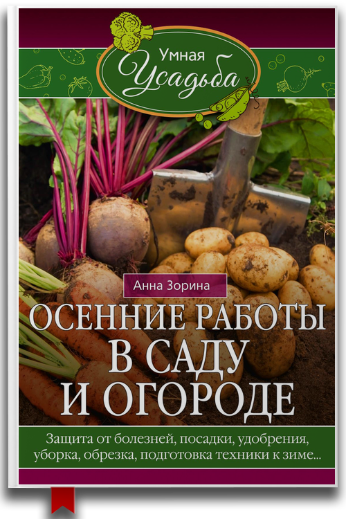 Осенние работы в саду и огороде. Защита от болезней, посадки, удобрения, уборка, обрезка, подготовка техники к зиме