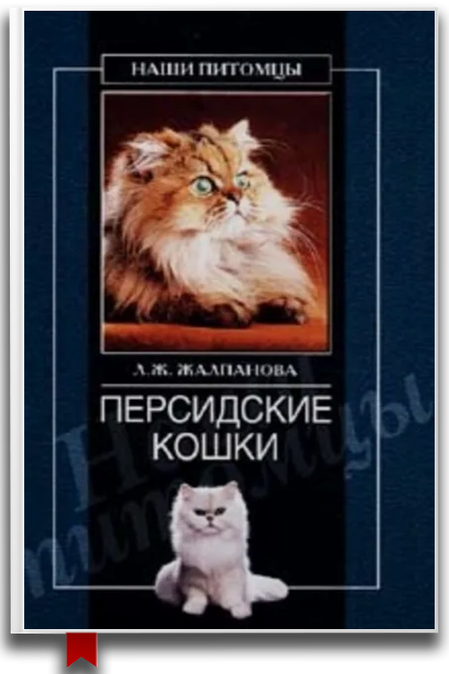 Персидские кошки — Домашние животные