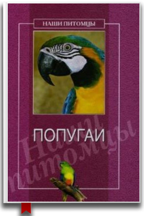 Попугаи