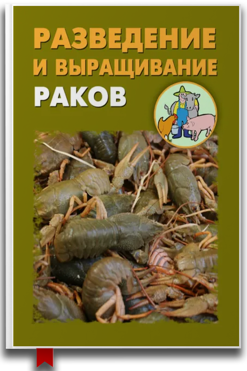 Разведение и выращивание раков