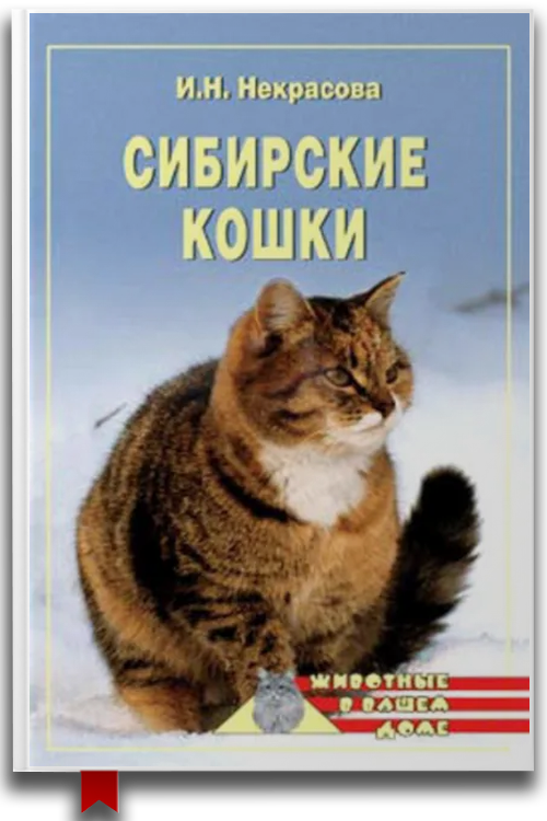Сибирские кошки