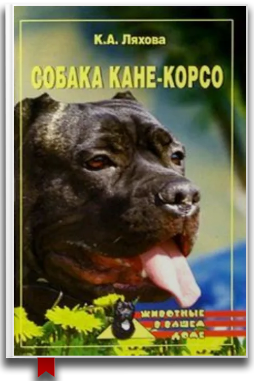 Собака Кане-Корсо