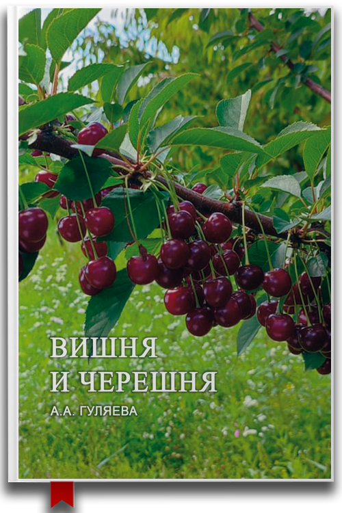Вишня и черешня — Сад и огород