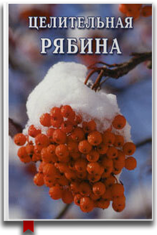 «Целительная рябина» — Иван Дубровин — Здоровье