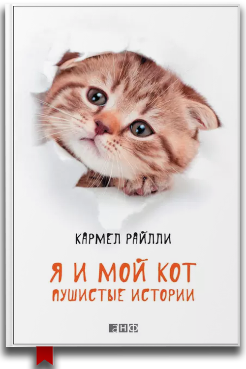 Я и мой кот. Пушистые истории