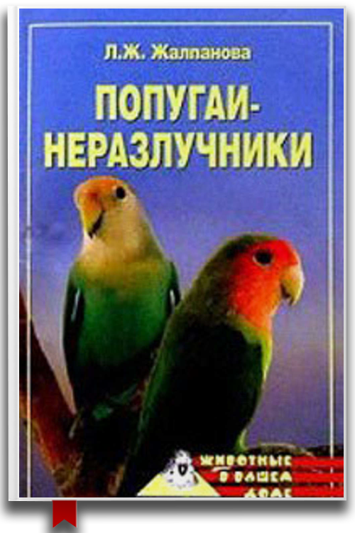 Попугаи-неразлучники