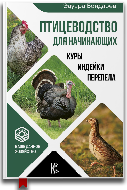 Птицеводство для начинающих