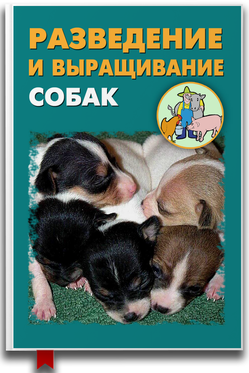 Разведение и выращивание собак