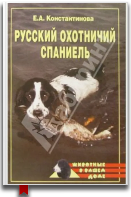 Русский охотничий спаниель