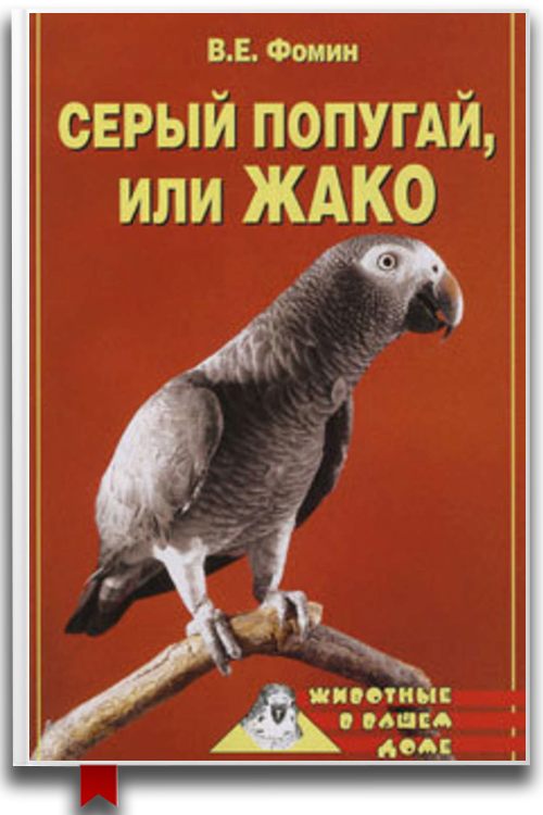 Серый попугай жако